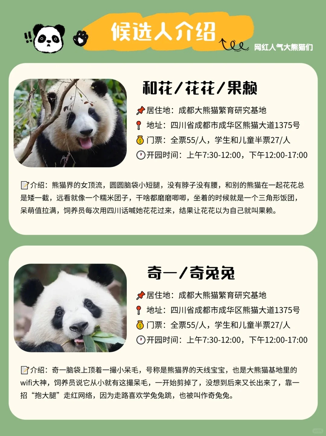 全网搜索霸屏的熊猫界顶流，哪个是你的心头爱