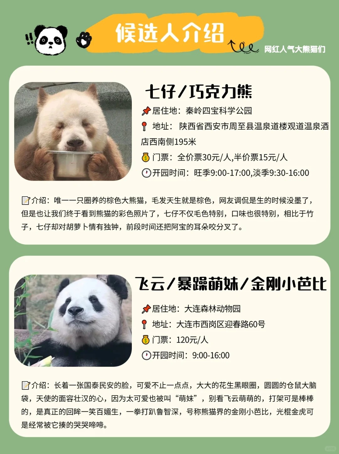 全网搜索霸屏的熊猫界顶流，哪个是你的心头爱