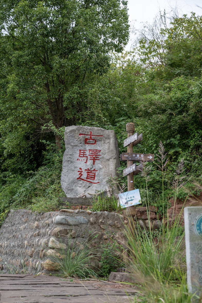 记录旅途中的自然瞬间