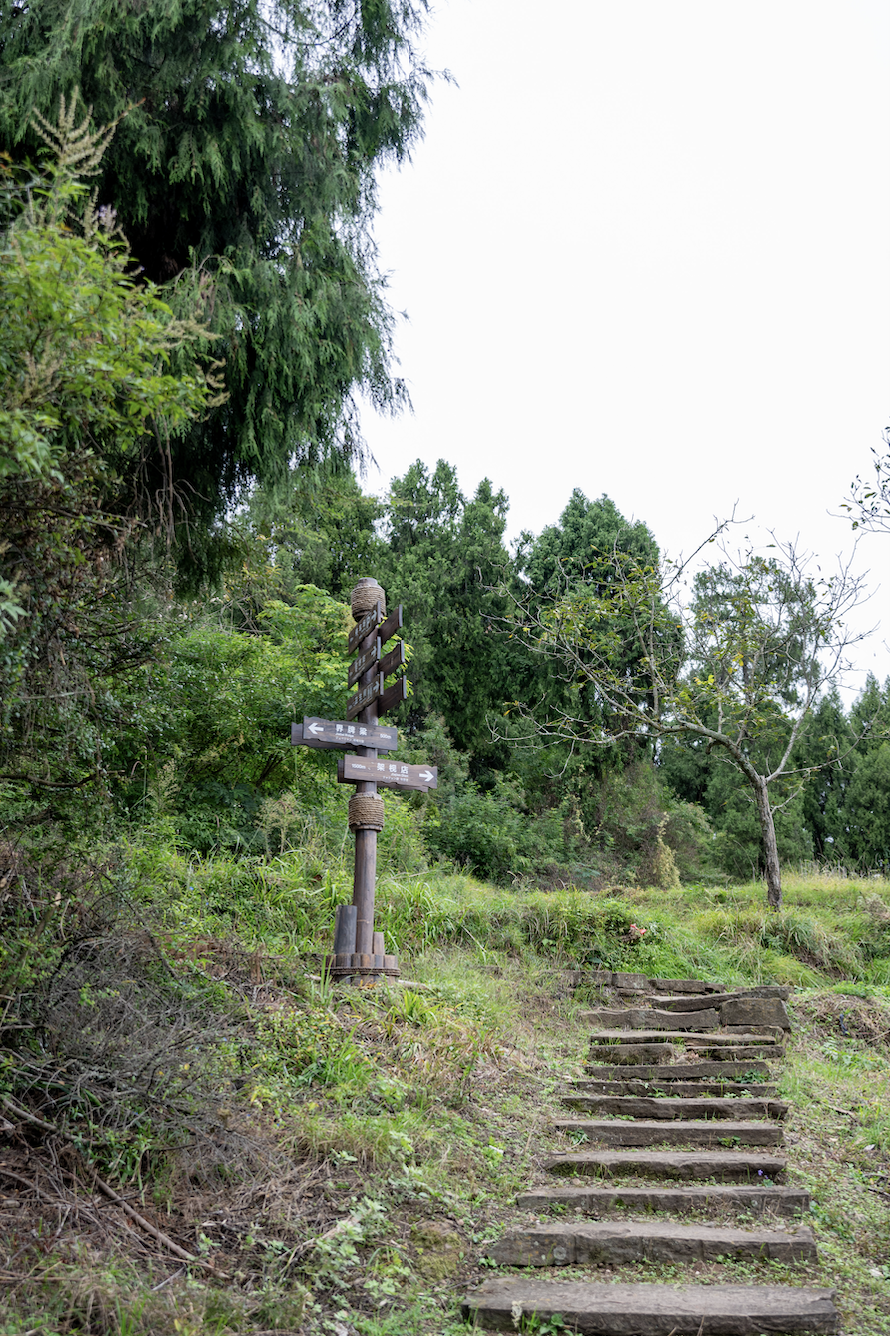 记录旅途中的自然瞬间