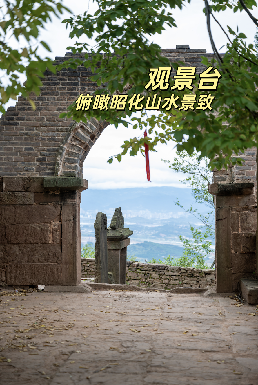 记录旅途中的自然瞬间