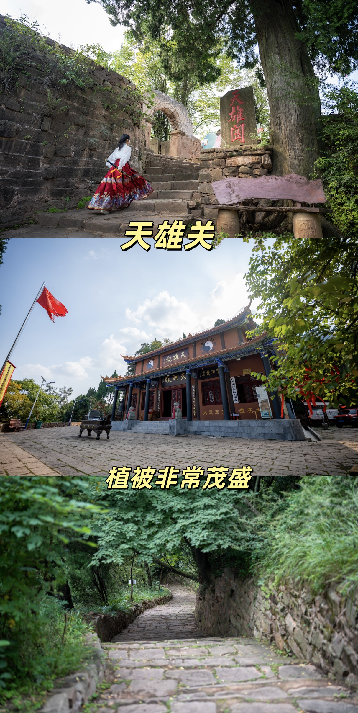 记录旅途中的自然瞬间