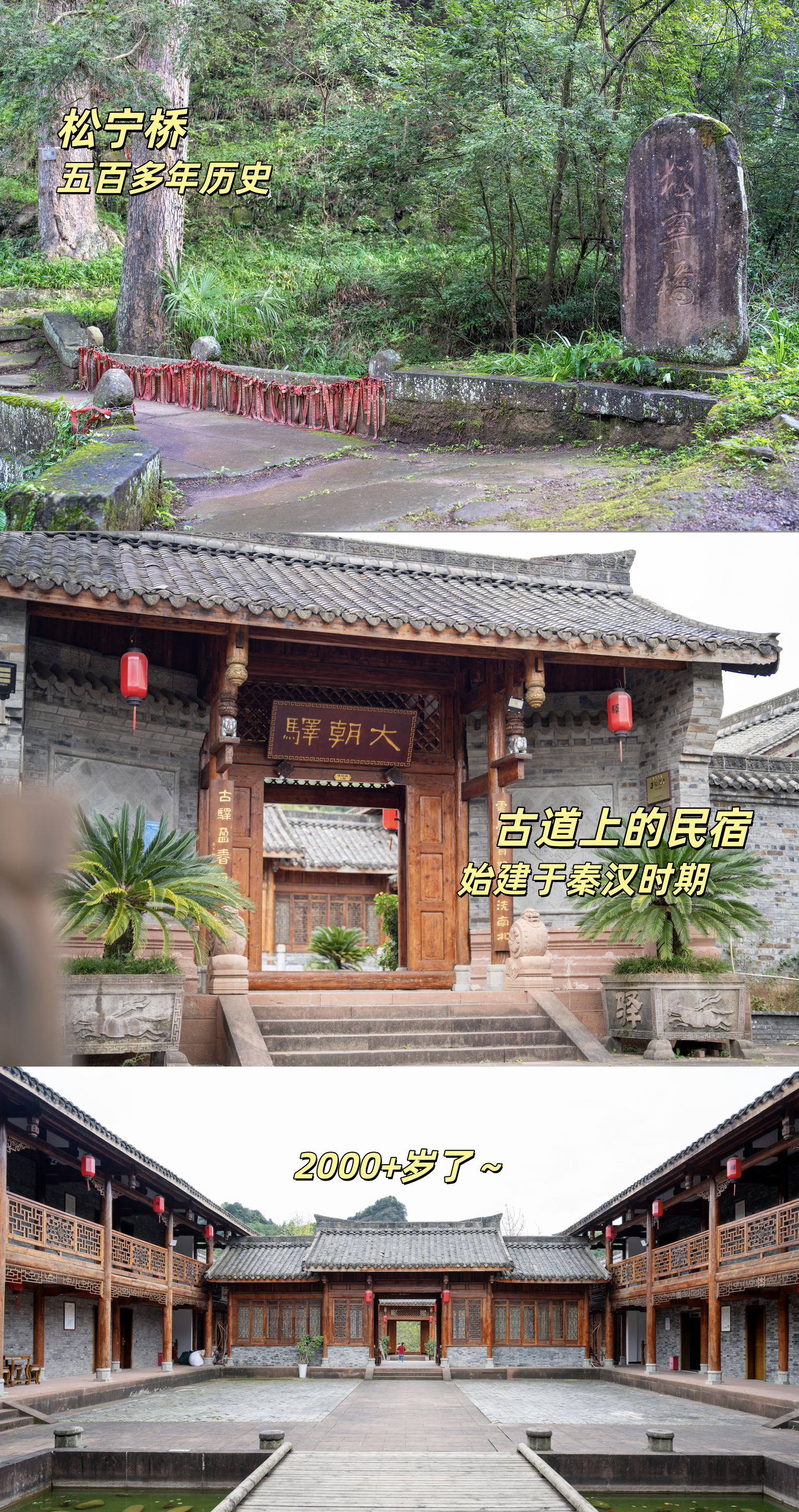 记录旅途中的自然瞬间