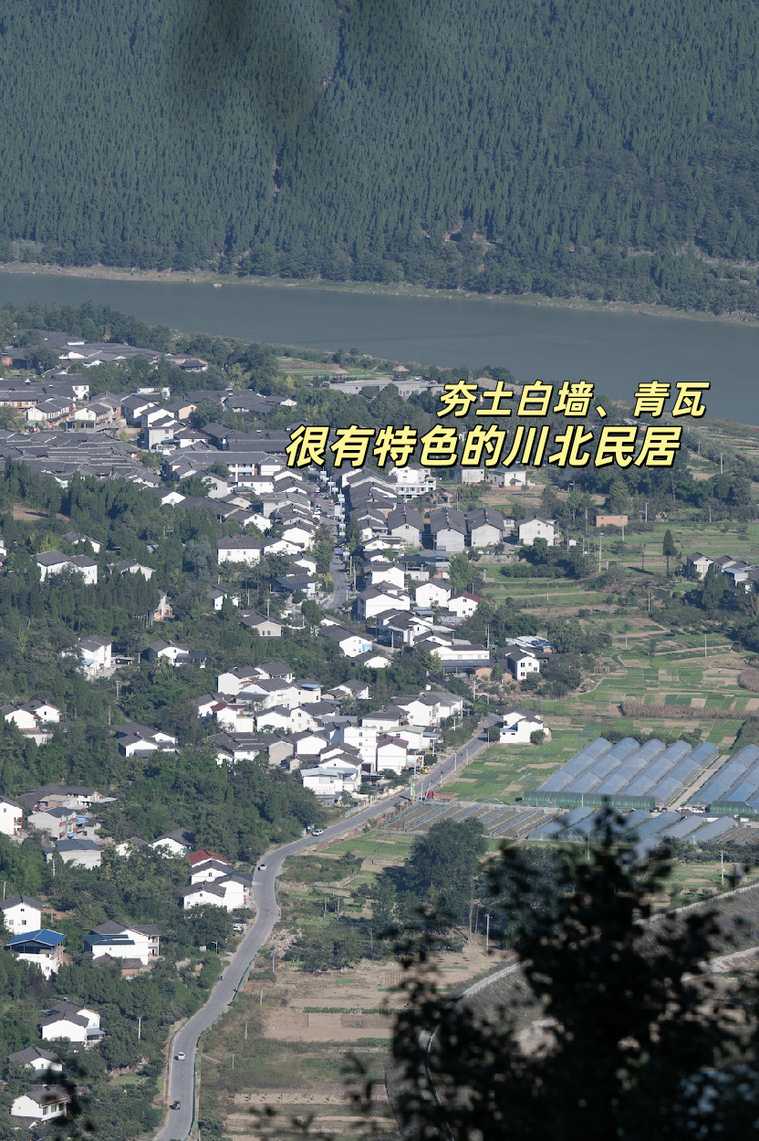 记录旅途中的自然瞬间