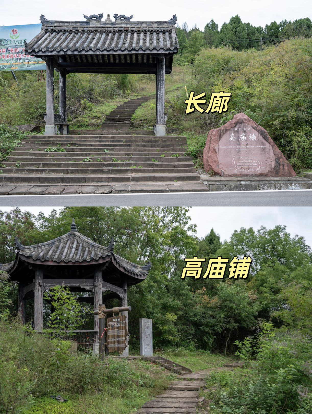 记录旅途中的自然瞬间