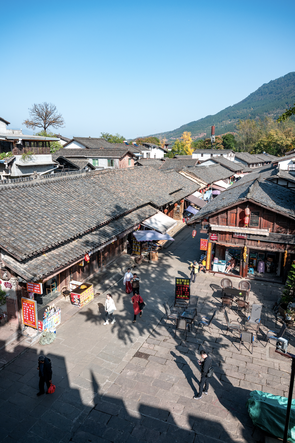 记录旅途中的自然瞬间