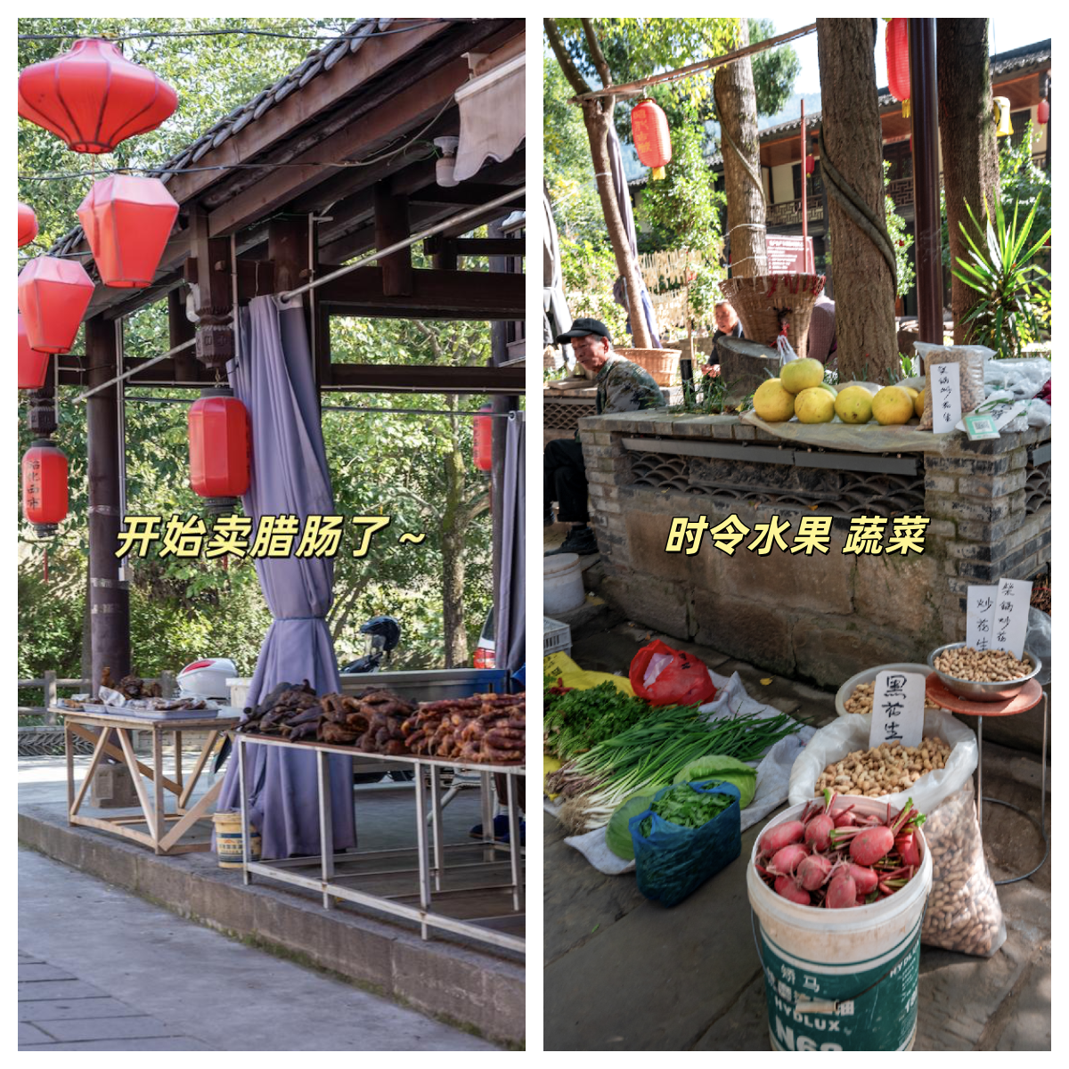 记录旅途中的自然瞬间