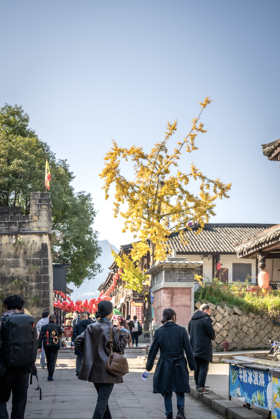 记录旅途中的自然瞬间