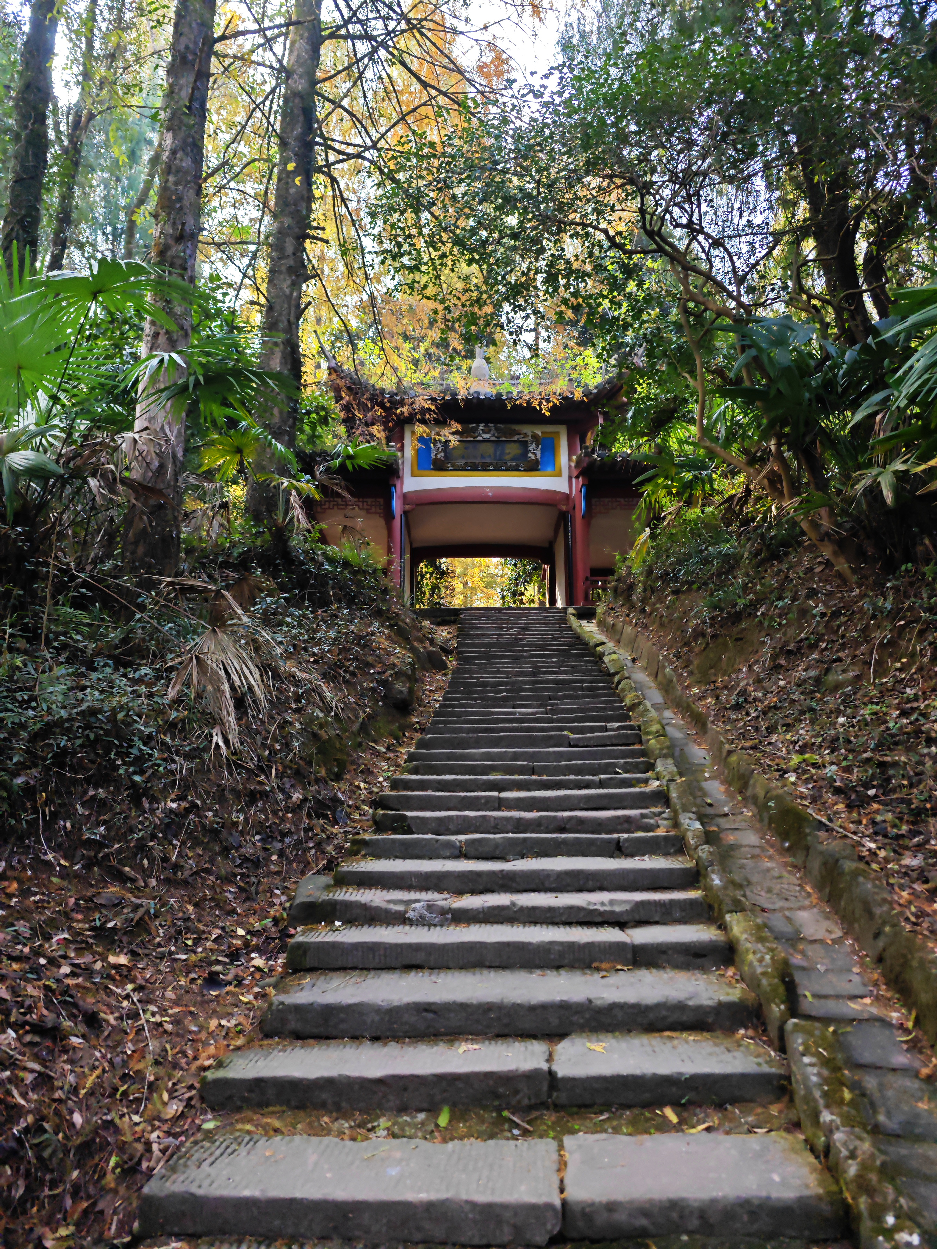 独行侠秋游齐云山