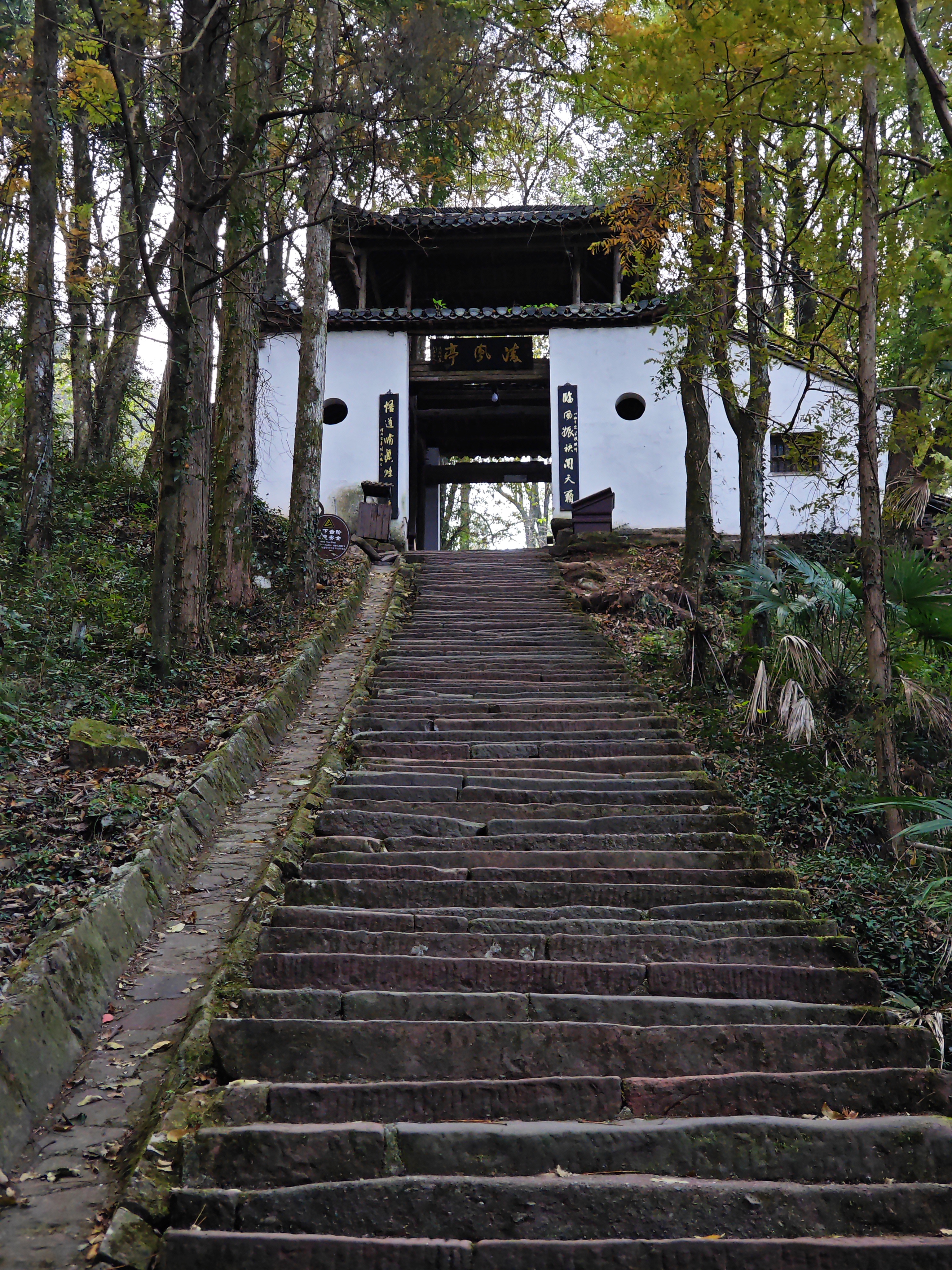 独行侠秋游齐云山