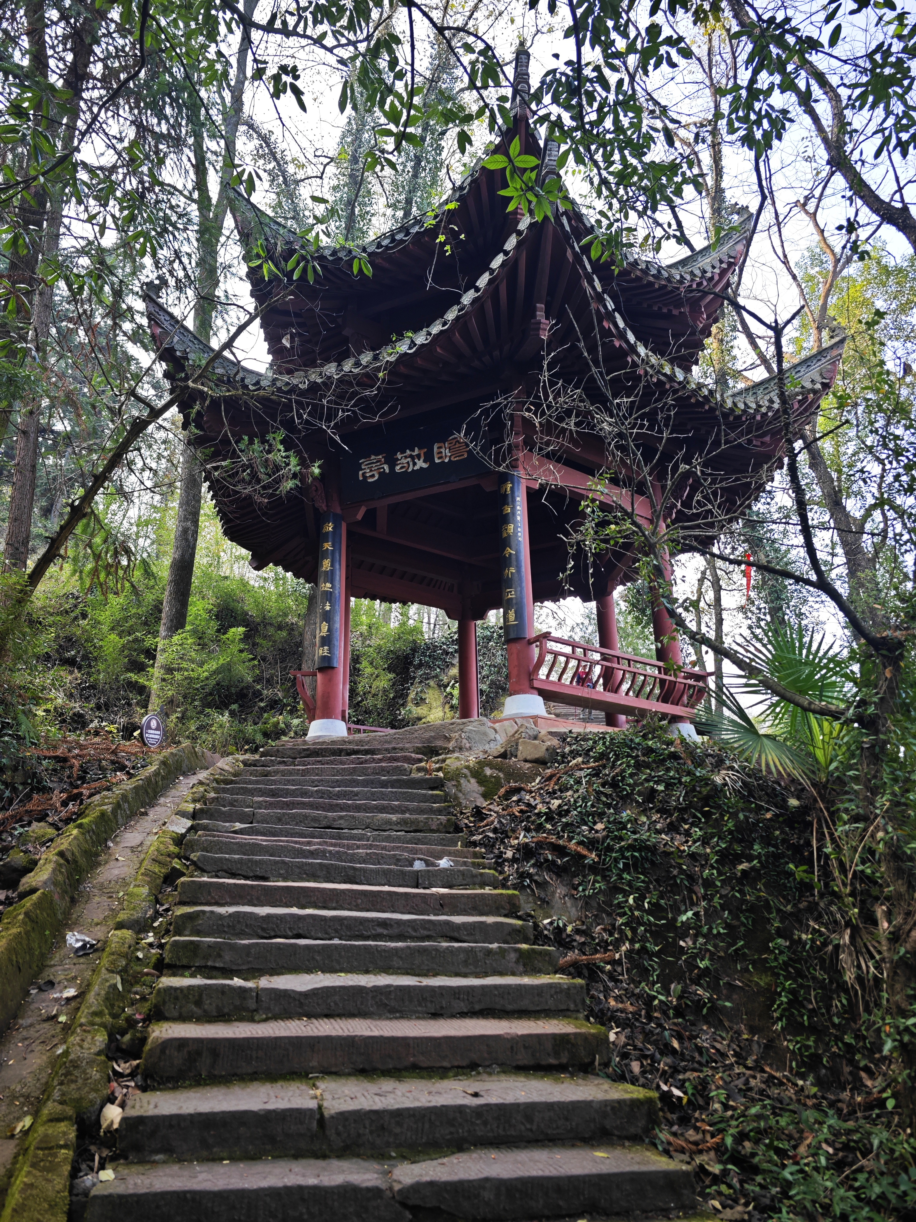 独行侠秋游齐云山