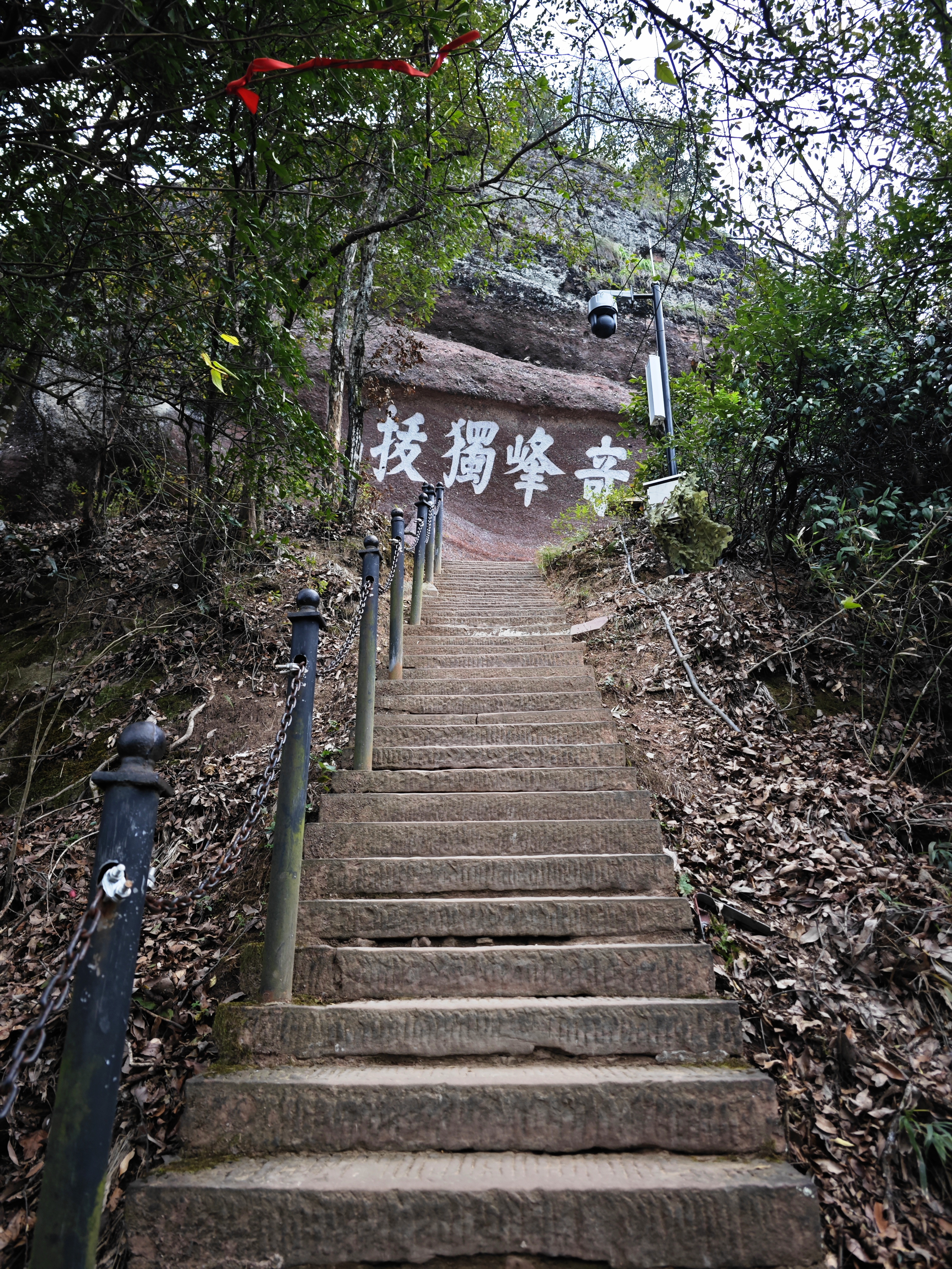 独行侠秋游齐云山