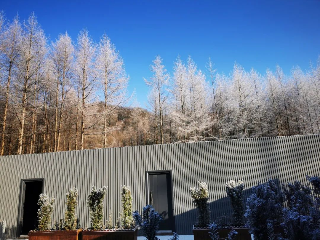 光雾山免门票啦|踏雪赏景,玩个尽兴!