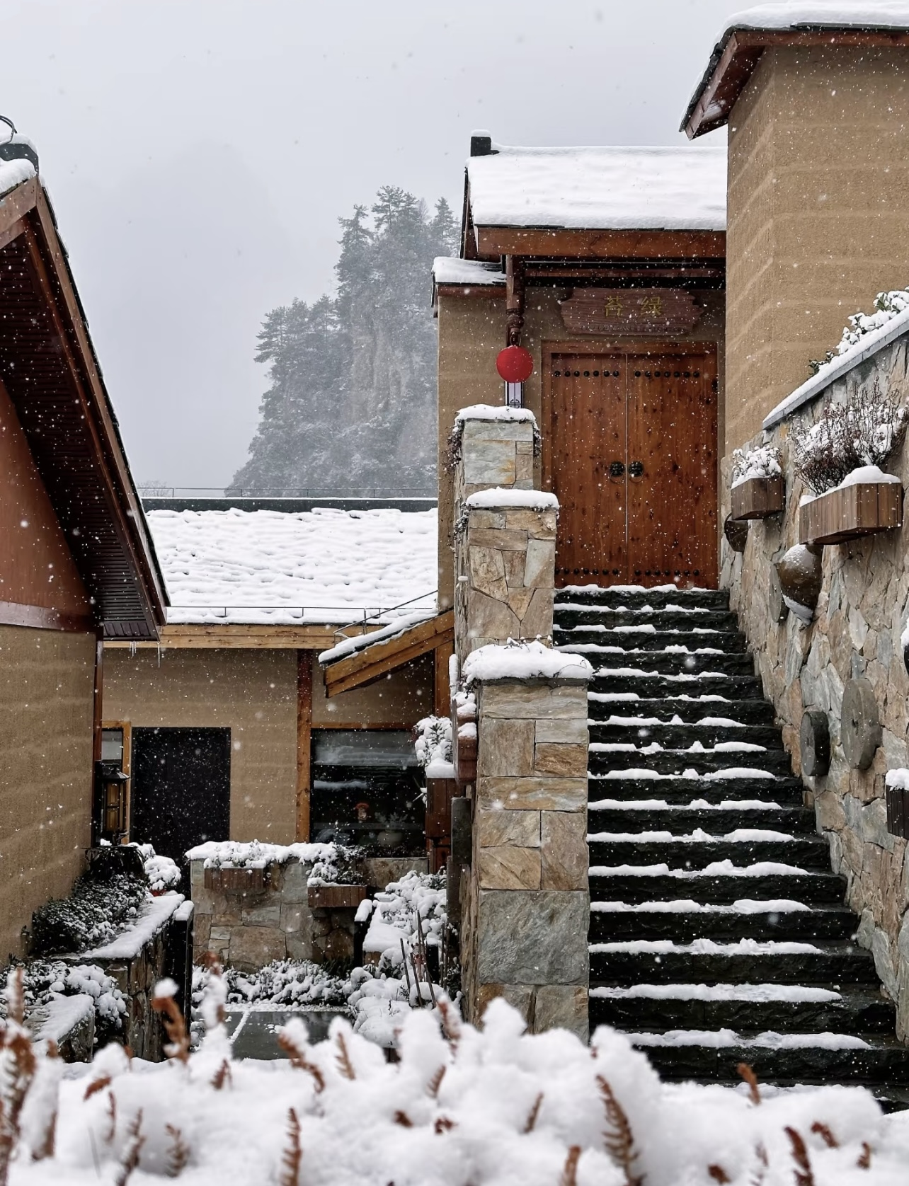 光雾山免门票啦|踏雪赏景,玩个尽兴!