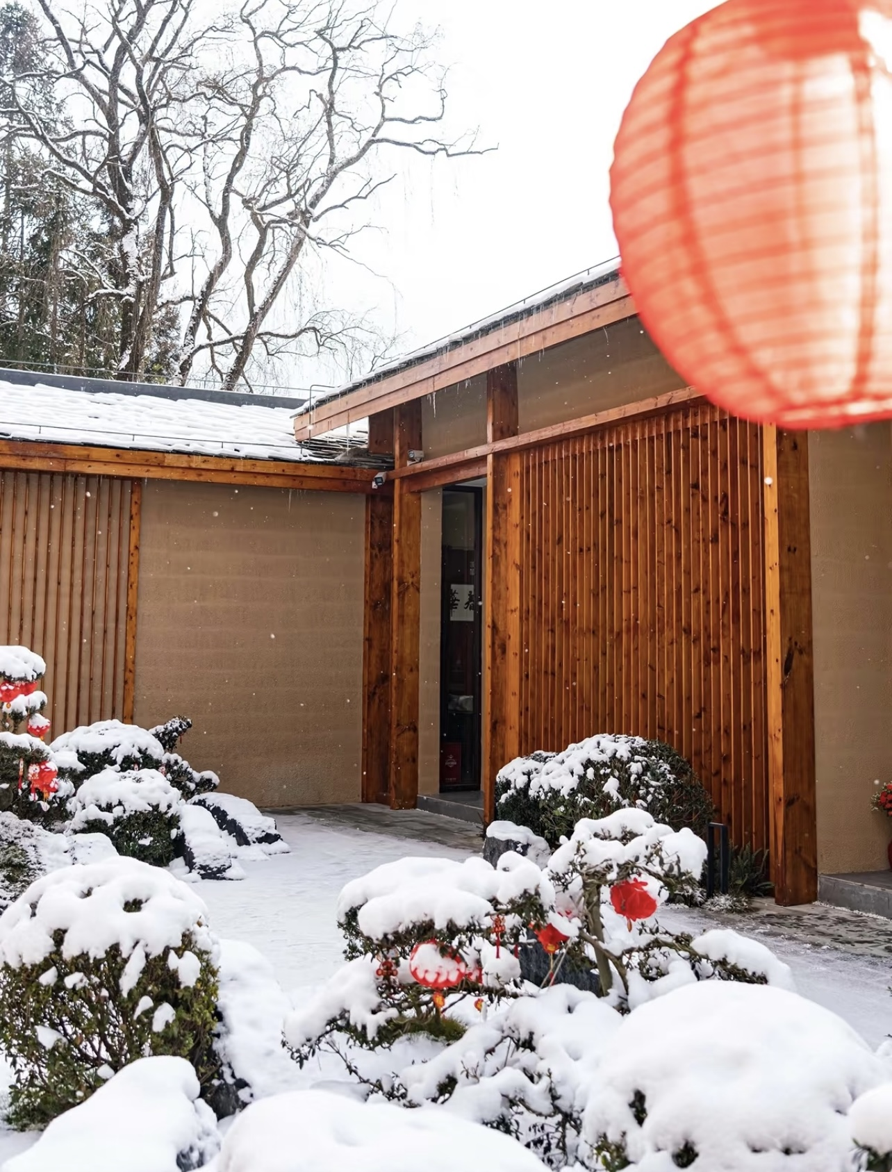 光雾山免门票啦|踏雪赏景,玩个尽兴!
