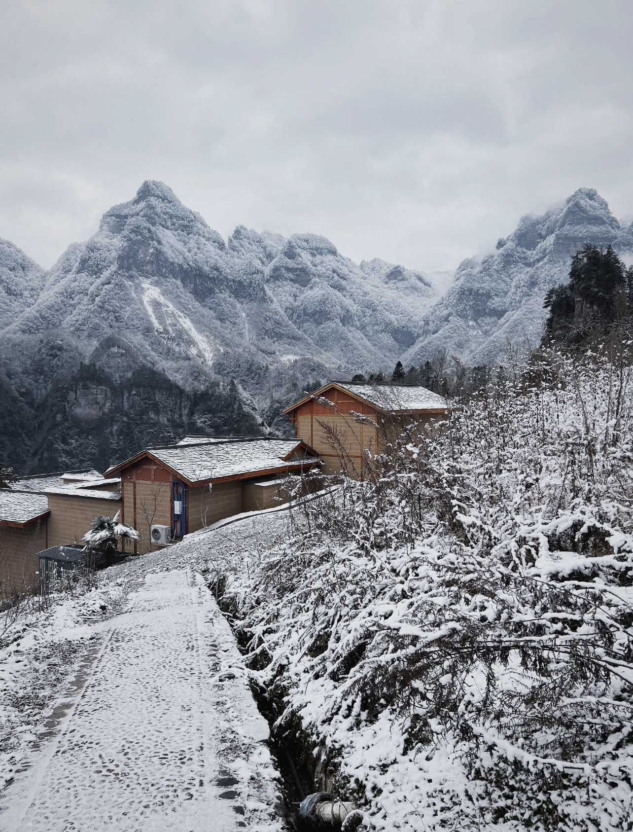 光雾山免门票啦|踏雪赏景,玩个尽兴!