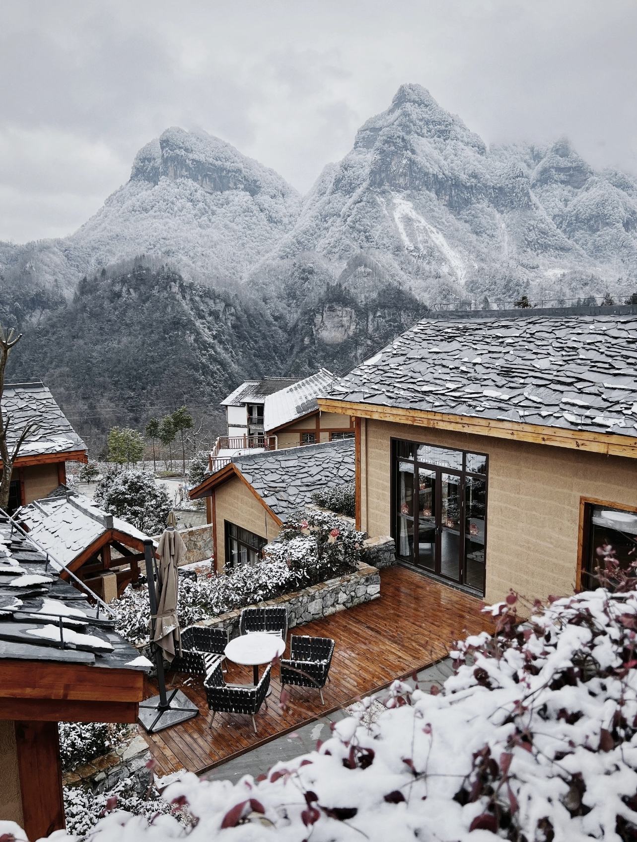 光雾山免门票啦|踏雪赏景,玩个尽兴!