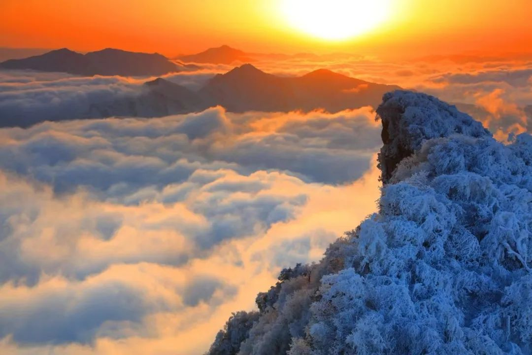 光雾山免门票啦|踏雪赏景,玩个尽兴!