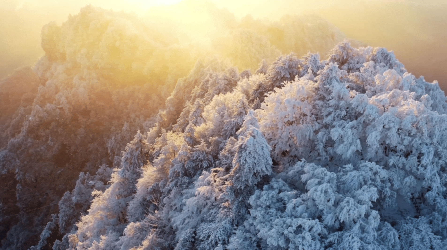 光雾山免门票啦|踏雪赏景,玩个尽兴!