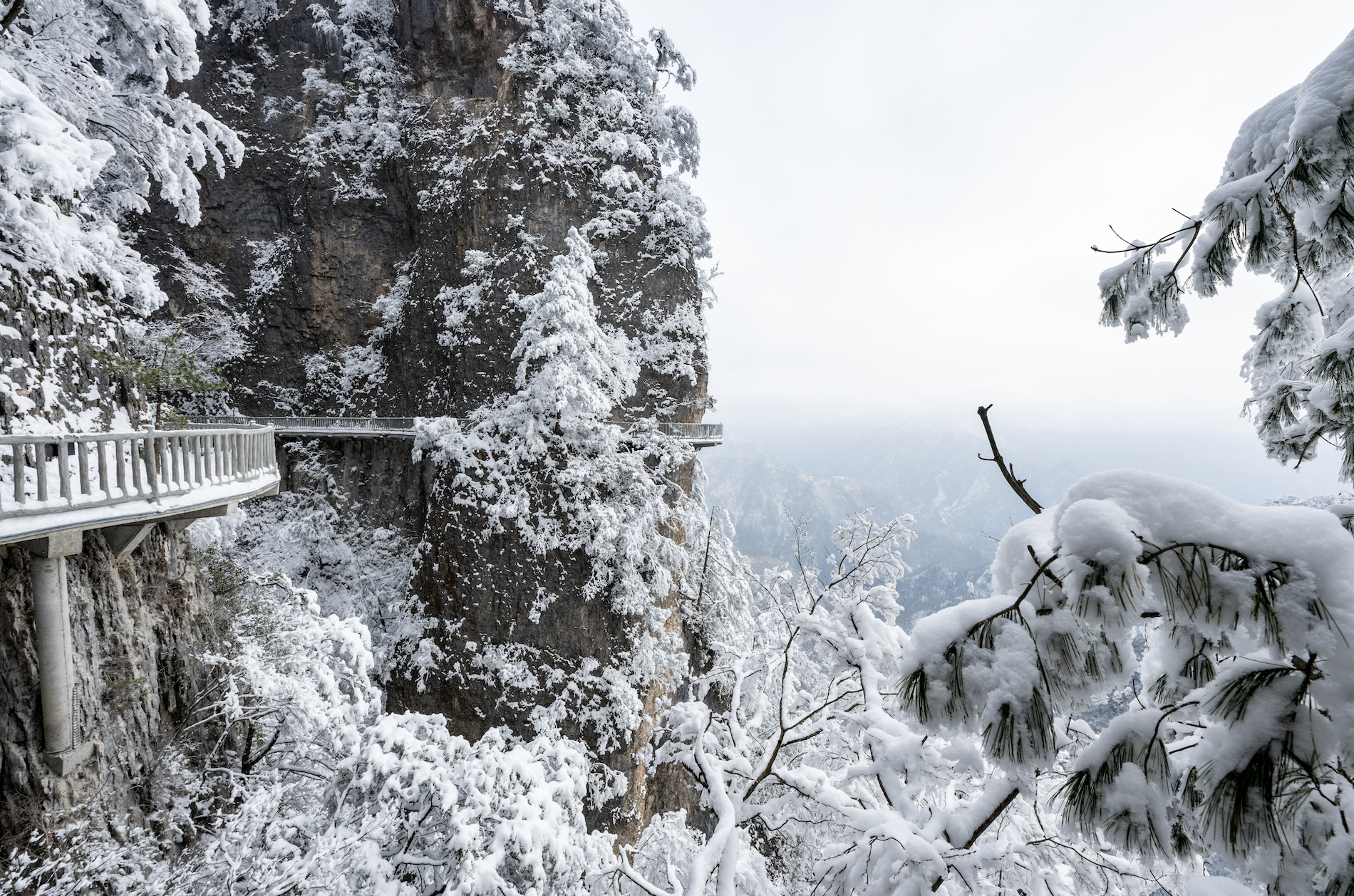 光雾山免门票啦|踏雪赏景,玩个尽兴!