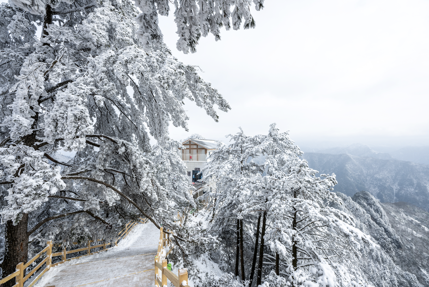 光雾山免门票啦|踏雪赏景,玩个尽兴!