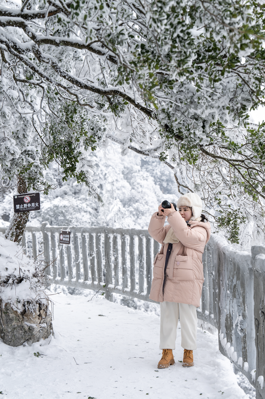 光雾山免门票啦|踏雪赏景,玩个尽兴!