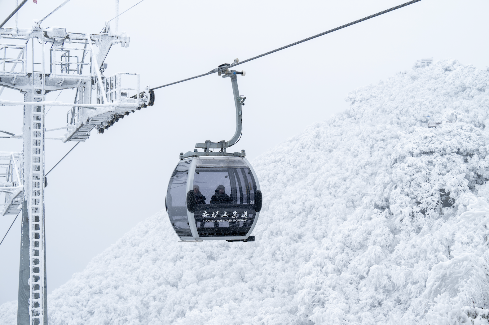 光雾山免门票啦|踏雪赏景,玩个尽兴!