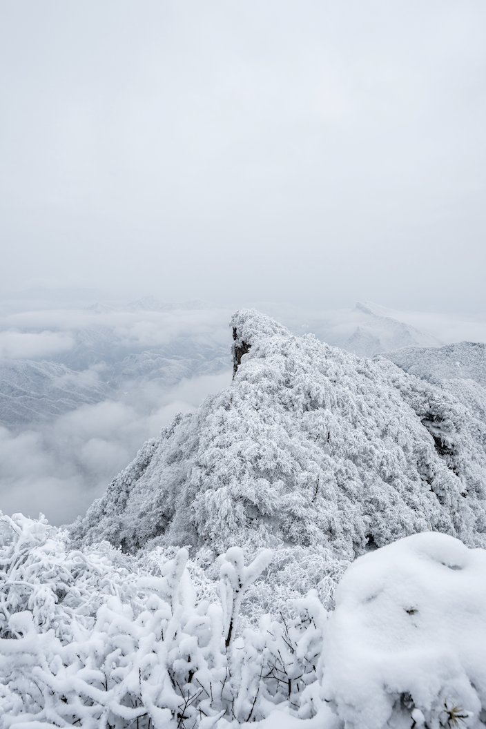 光雾山免门票啦|踏雪赏景,玩个尽兴!