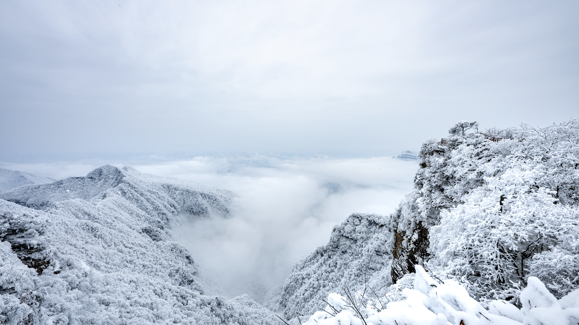 光雾山免门票啦|踏雪赏景,玩个尽兴!