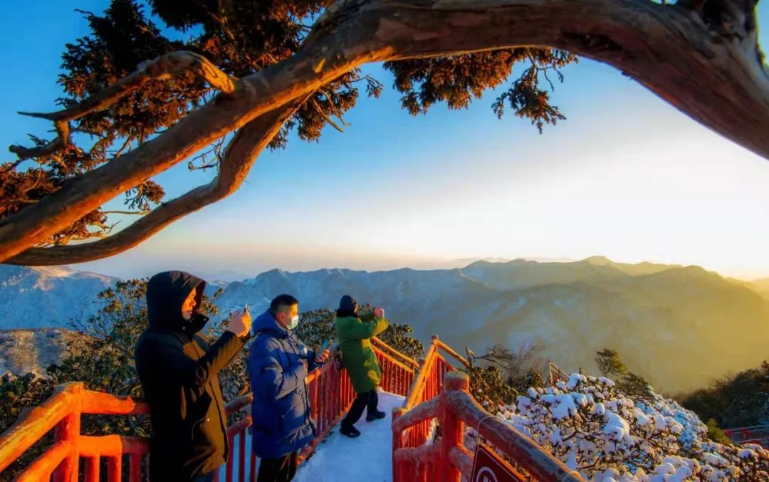 光雾山免门票啦|踏雪赏景,玩个尽兴!