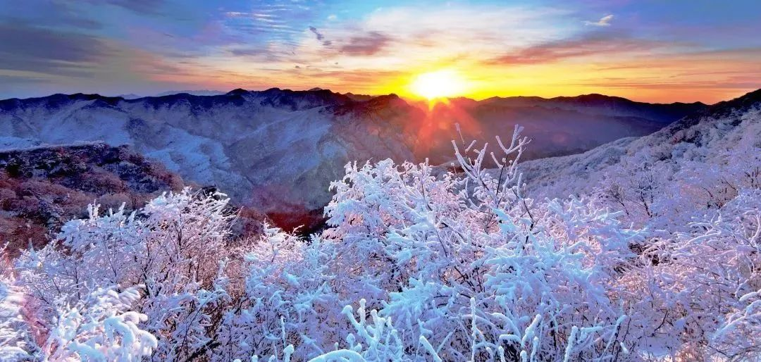 光雾山免门票啦|踏雪赏景,玩个尽兴!
