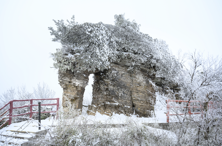光雾山免门票啦|踏雪赏景,玩个尽兴!