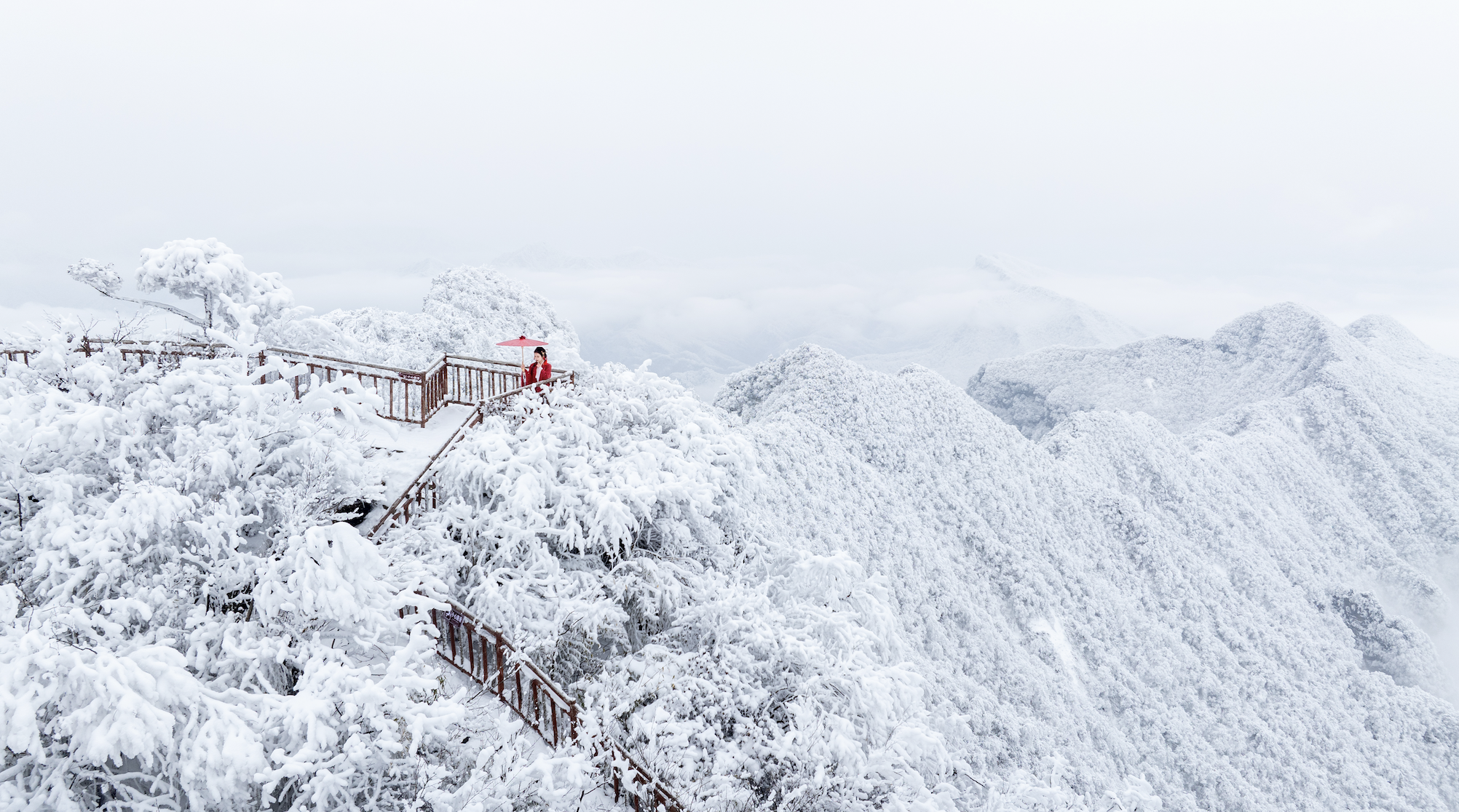 光雾山免门票啦|踏雪赏景,玩个尽兴!