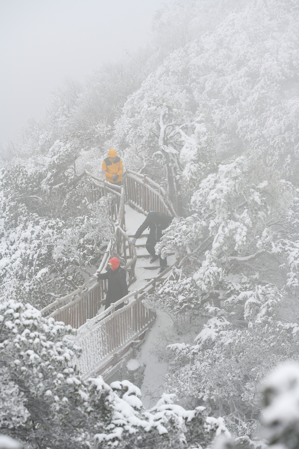 光雾山免门票啦|踏雪赏景,玩个尽兴!