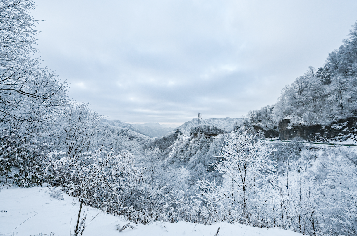 光雾山免门票啦|踏雪赏景,玩个尽兴!