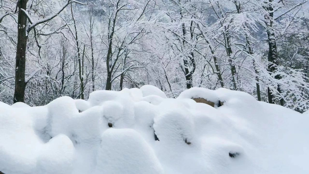 乐游朝天曾家山,住宿+游玩旅游攻略