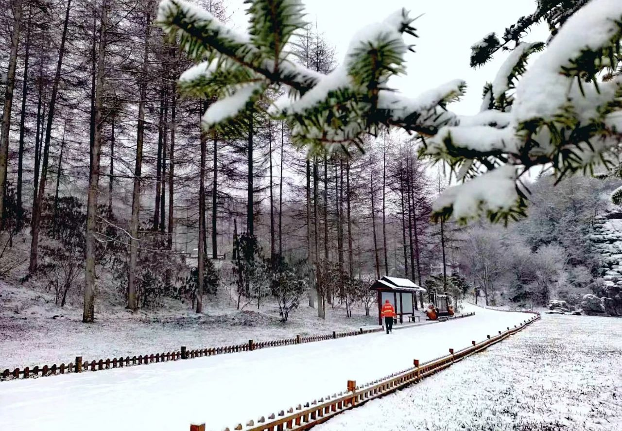 乐游朝天曾家山,住宿+游玩旅游攻略