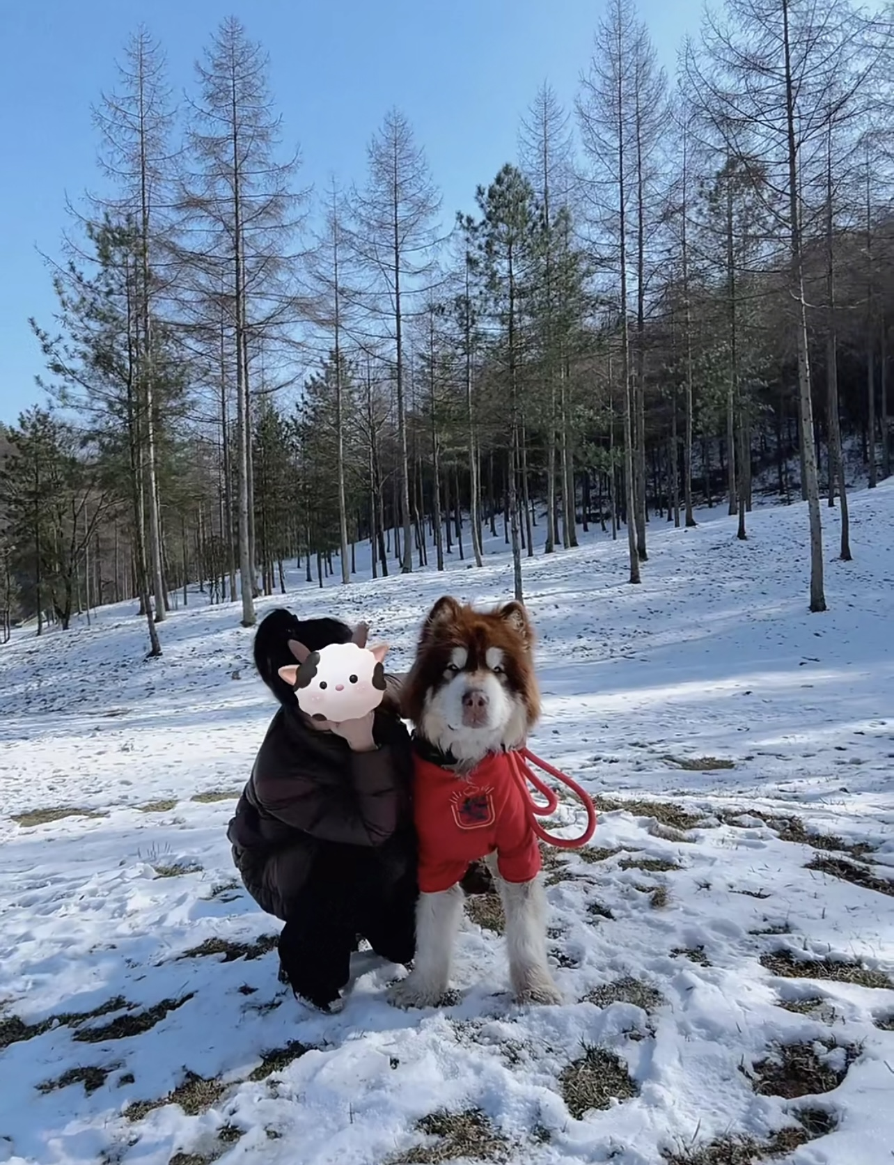 乐游朝天曾家山,住宿+游玩旅游攻略