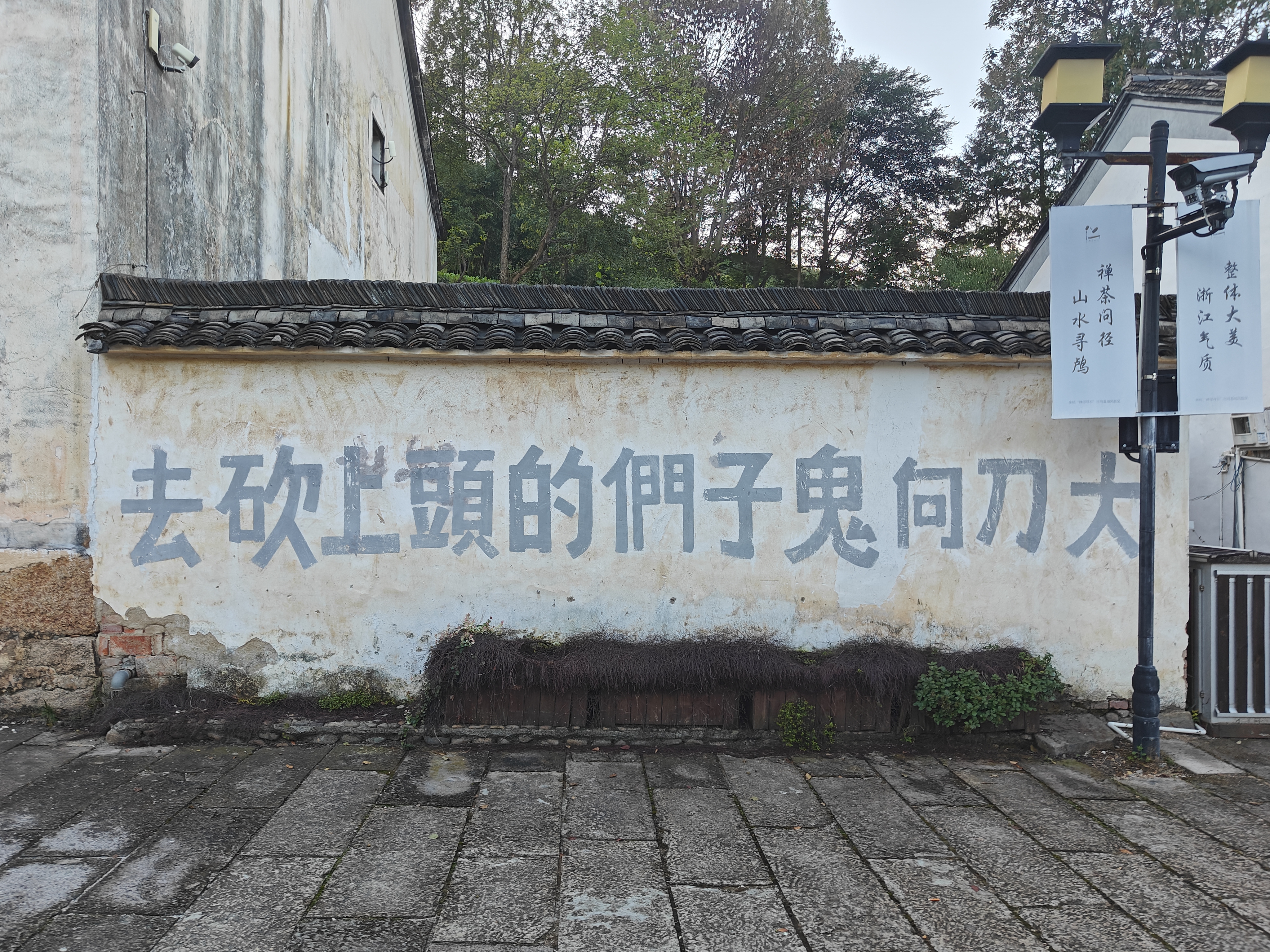 避人潮访秘境山沟沟清肺行 -2024国庆三天两晚天目山东线自驾纪实