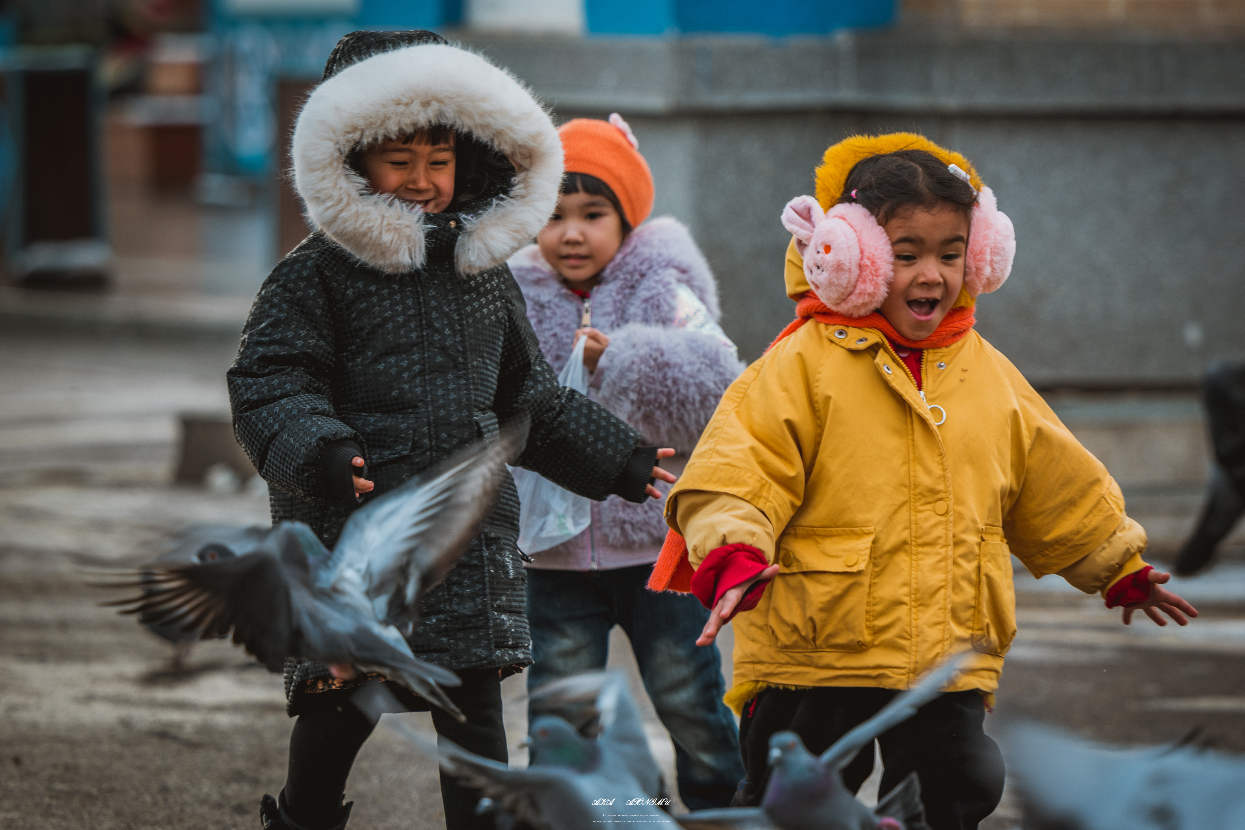 迷失在-30°C的童话雪都