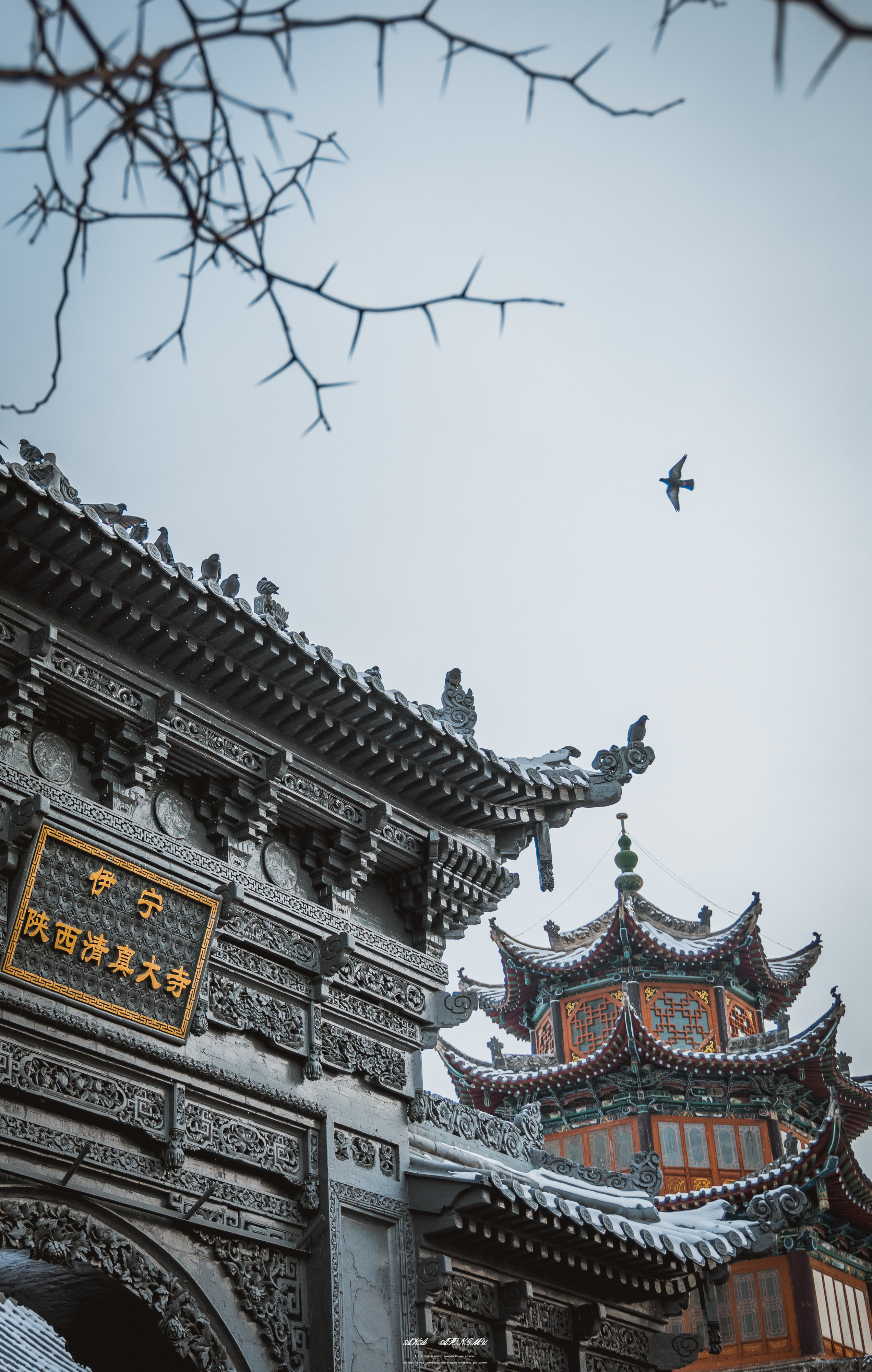 迷失在-30°C的童话雪都