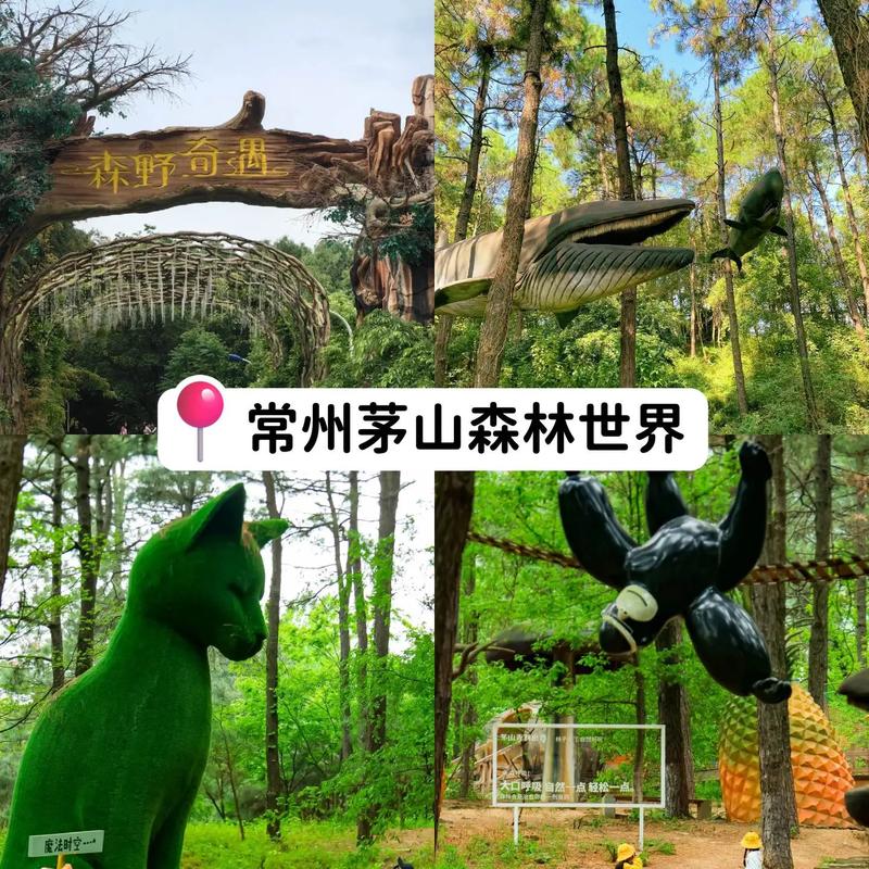 20250502~20250503 亲子·奇趣镇江,报恩塔（镇江）旅游游记