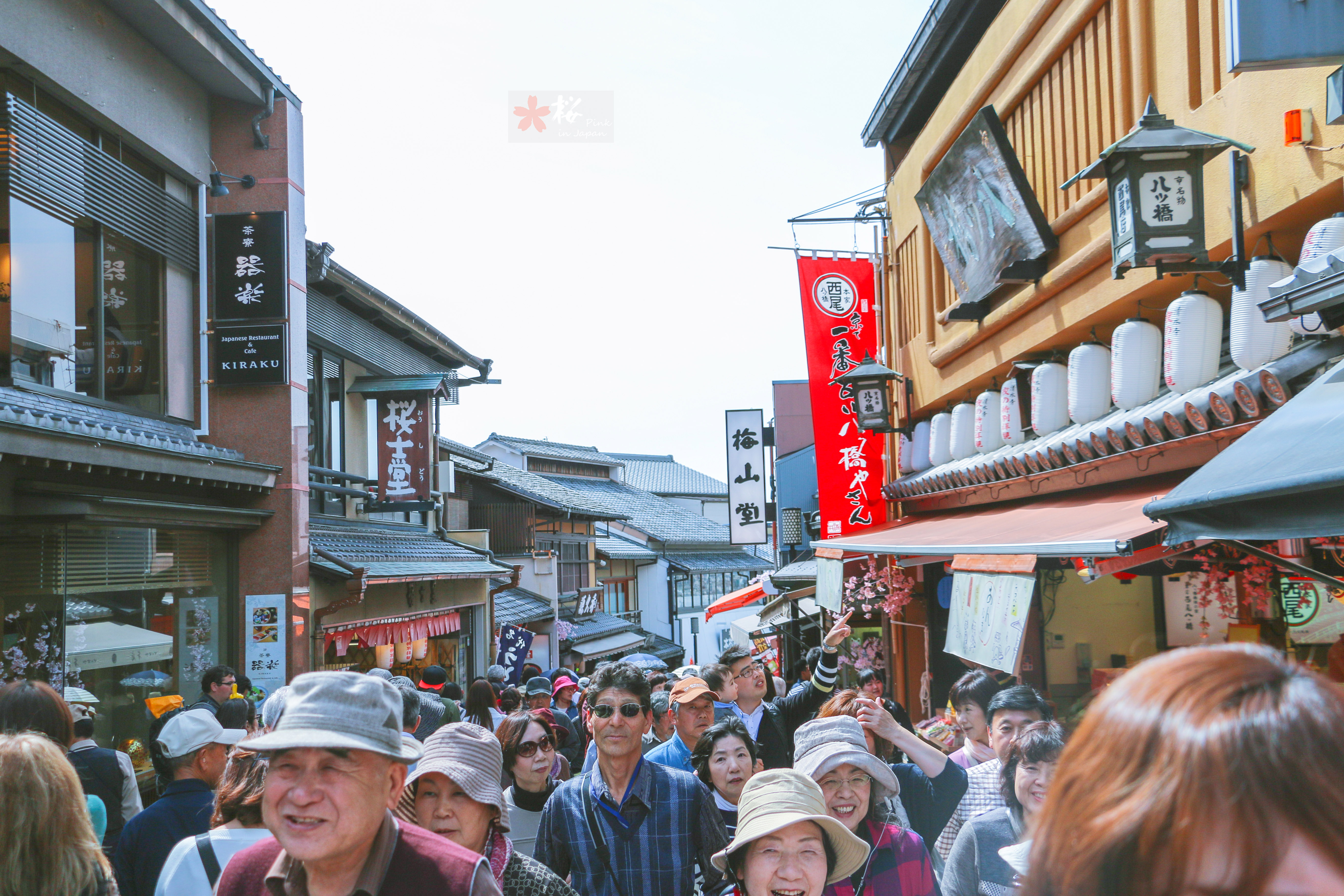 3 关西机场→京都车站(搭乘haruka)→哲学之道→银阁寺(没去)→兔子