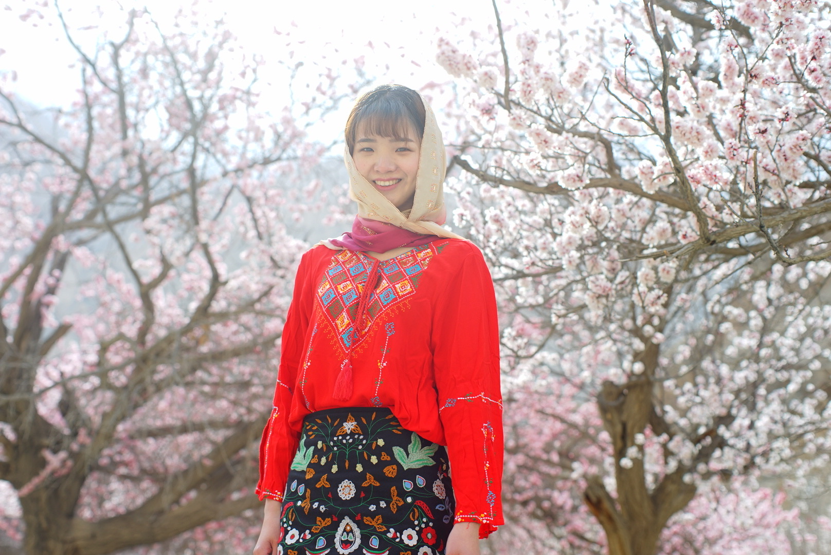 杏花渐欲迷人眼