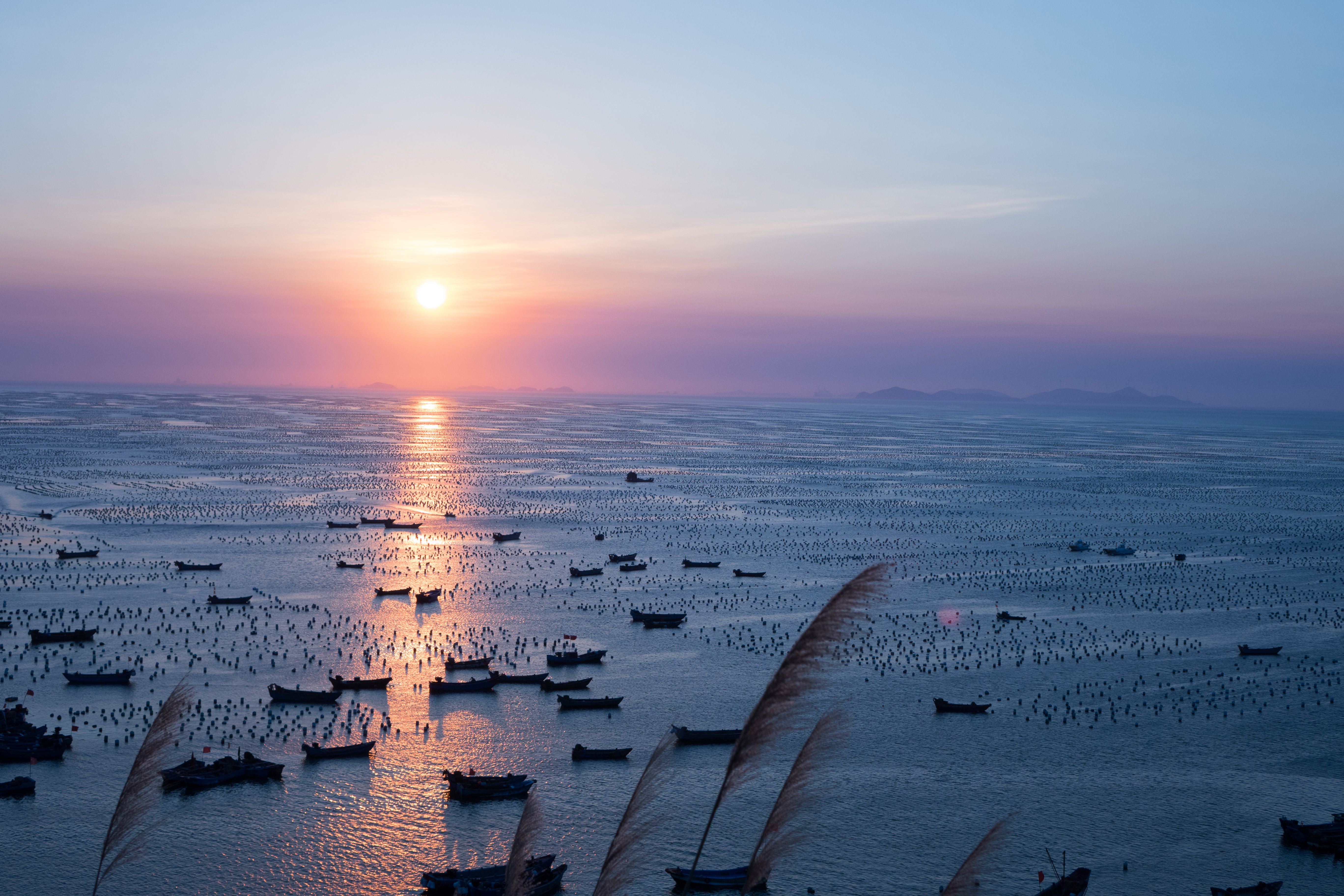 星星点点,密密麻麻的渔船和渔网