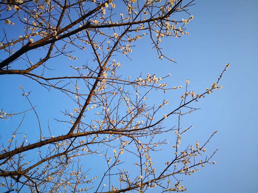 上德若谷水长流,青林黑塞有知音