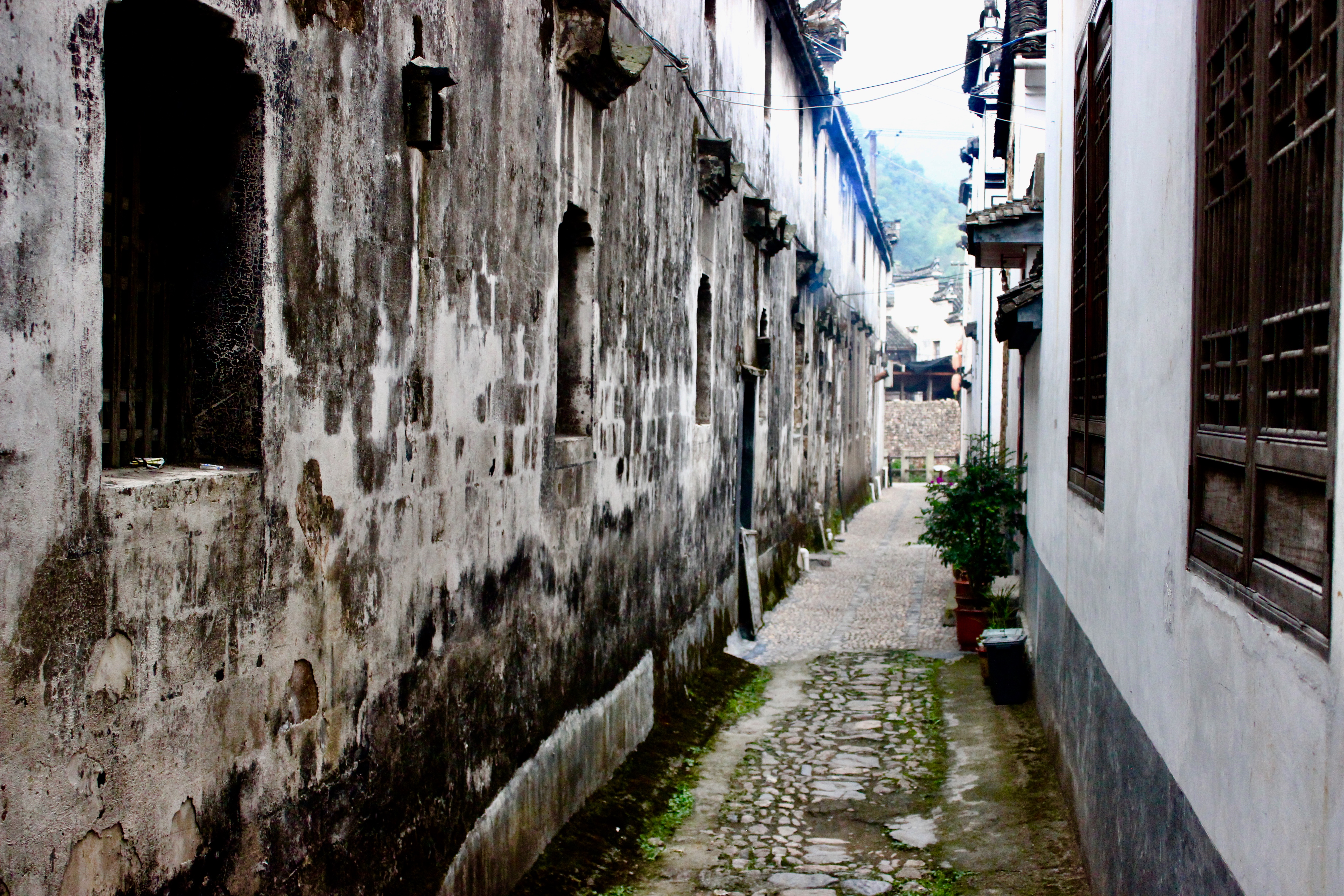 走进颓圮的篱墙,在这悠长的江南雨巷里,幻想着身旁会飘过一位