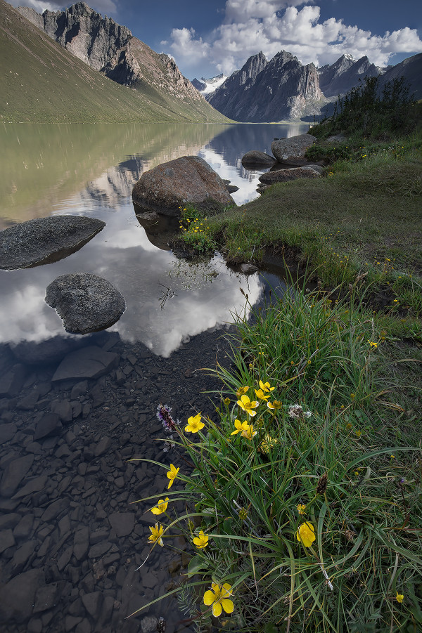 景深合并系统讲解 ,论后期如何打造全景深照片?