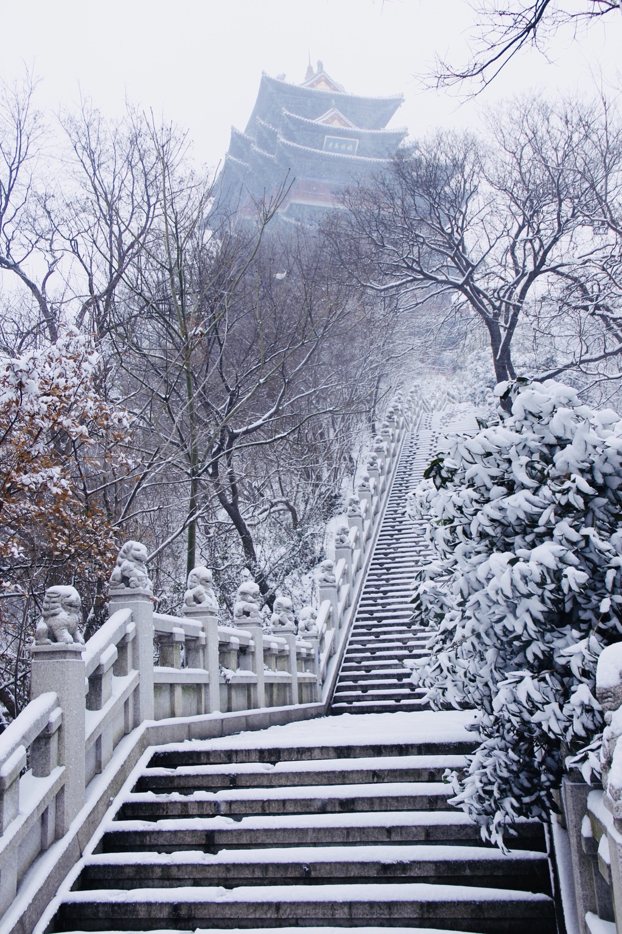 南京雪景图片大全唯美图片