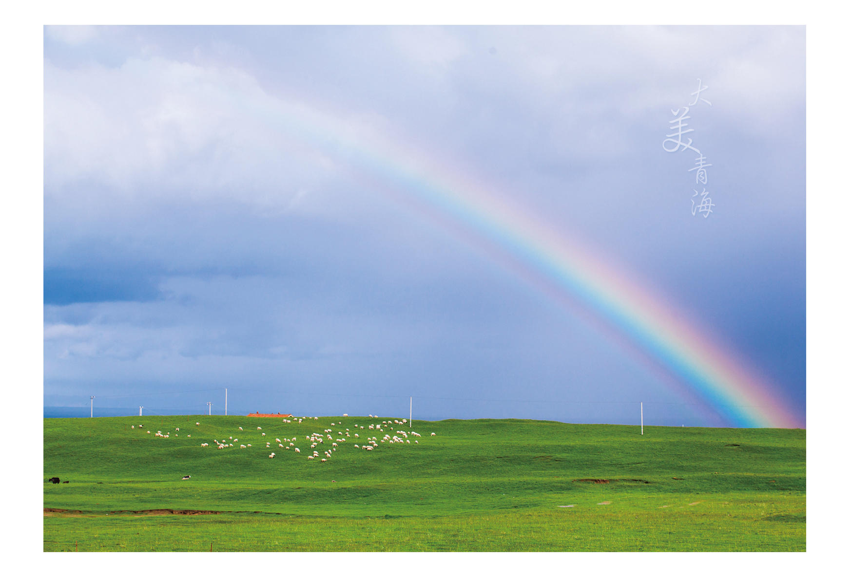 【用光影记录美好】2014青海祁连暑期摄影团完美收官